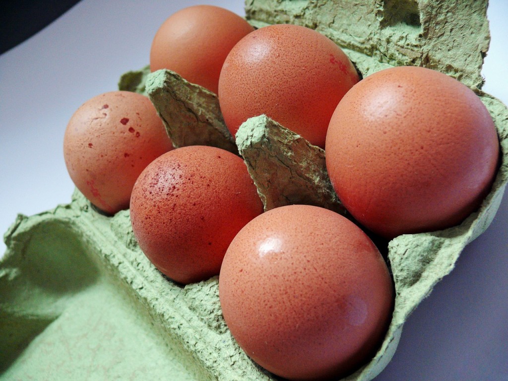 egg-1878043_1280