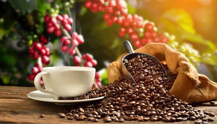 caffe