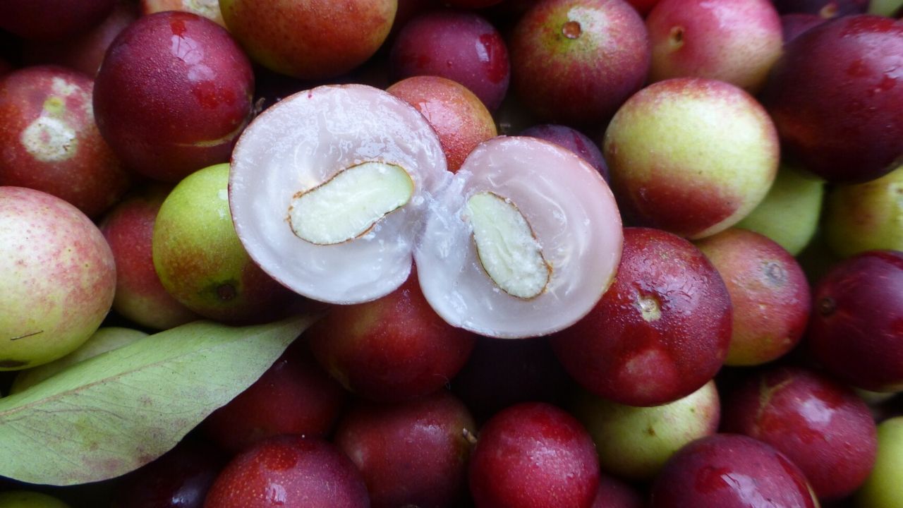 Camu camu: gli usi di questo frutto esotico in cucina