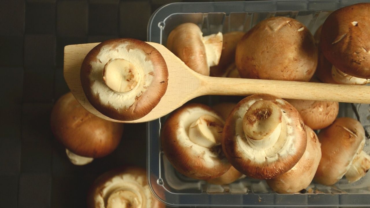 Funghi: 10 ricette autunnali per non sprecare niente